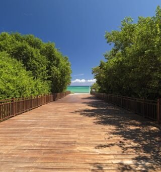 335ParadisusPlayaDelCarmen-Beach Access