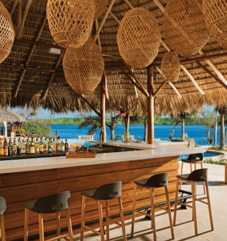 SEPCR-BAR-Manatees-2A-CB