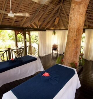 the-treatment-garden