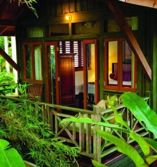 treehouse-style-accommodations